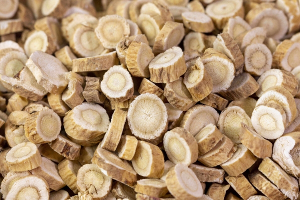 白头翁汤可以治耳鸣吗