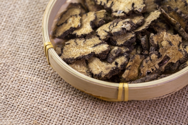 白头翁能治乳腺结节吗