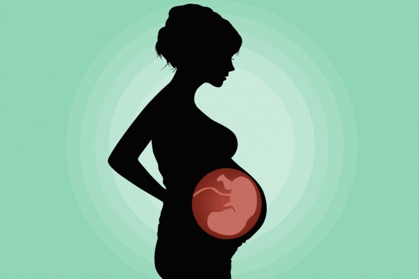 大草药白头翁治什么病