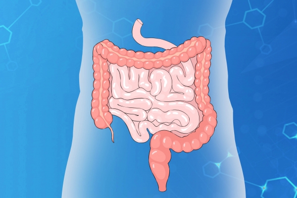 黑椰枣的营养价值及功效与作用