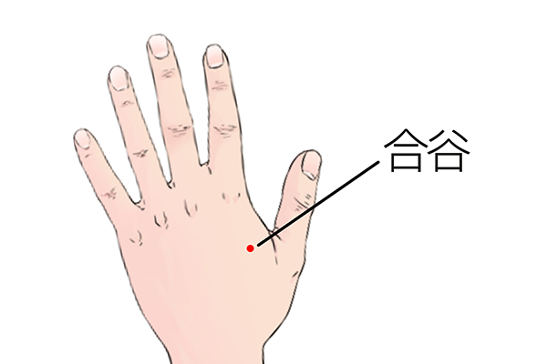 合谷穴在什么位置