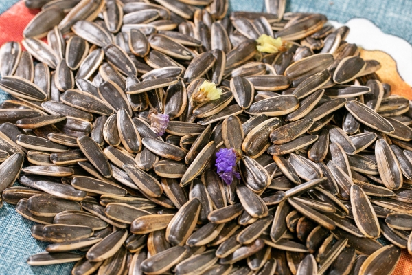 瓜子营养价值及功效