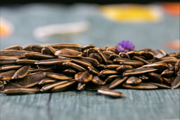 瓜子营养价值及功效