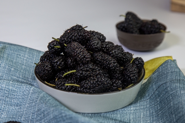 肾阴虚吃什么补得最快