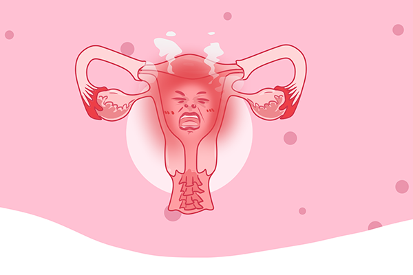 白头翁散可以治子宫炎吗