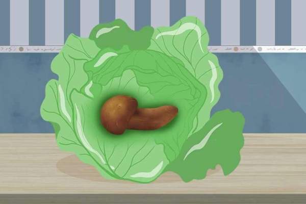 松茸的吃法及做法