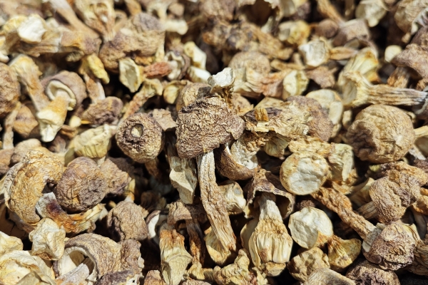 松茸的吃法及做法