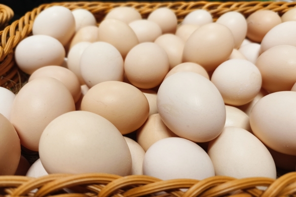 鹅蛋比鸡蛋营养高吗