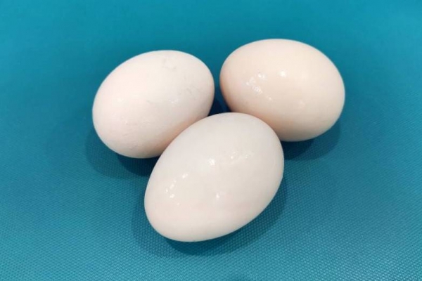 鹅蛋比鸡蛋营养高吗