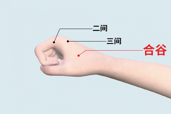 合谷穴准确位置