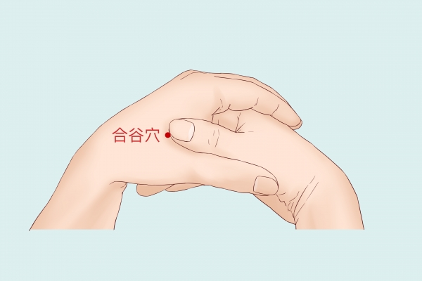 合谷穴准确位置