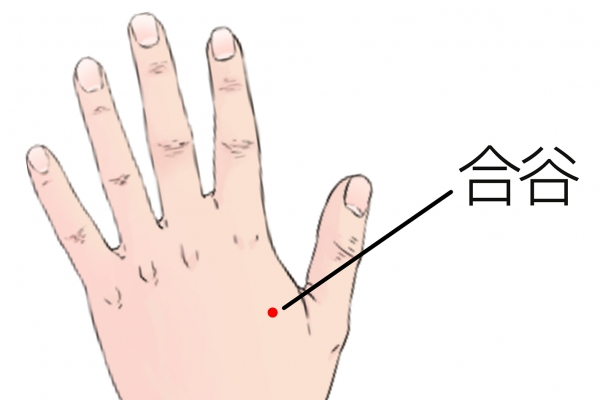 合谷穴准确位置