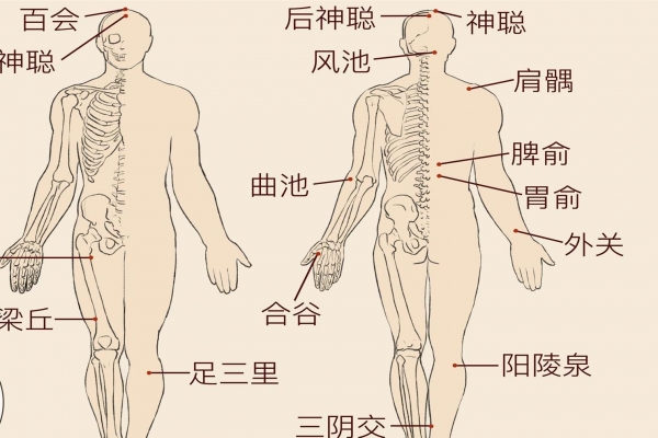 黑顺片属于哪类药