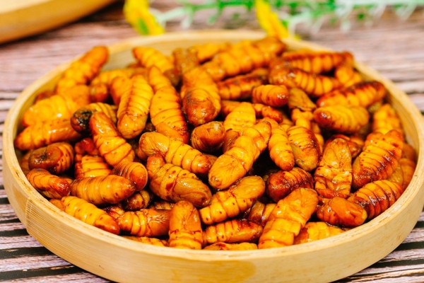 蚕蛹的营养价值与功效