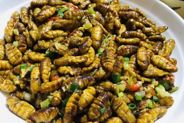 蚕蛹的营养价值与功效