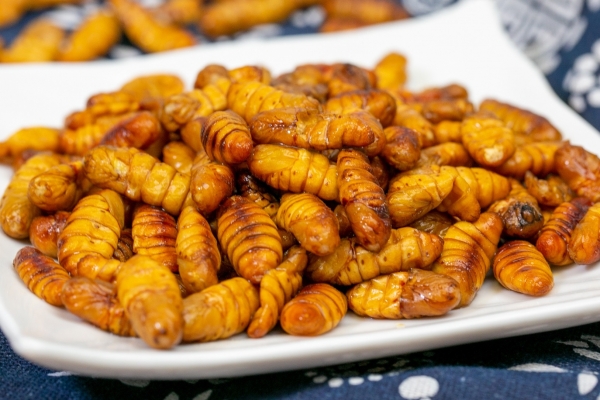 蚕蛹的营养价值与功效