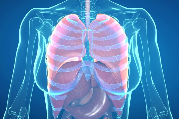 白肺的症状有哪些