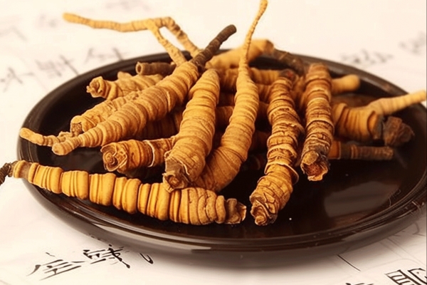 虫草不能和什么一起吃