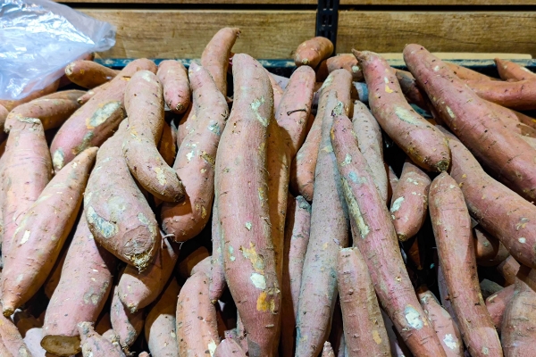 红薯的种植时间和方法是什么