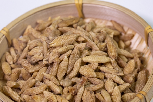 麦冬的功效与作用有哪些